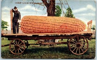Waverly,  Iowa Farming Exaggeration Postcard Giant Ear Of Corn On Wagon - 1909