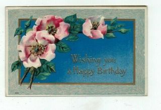 Antique 1909 Embossed Birthday Post Card Pink Wild Roses Blue Sky Background