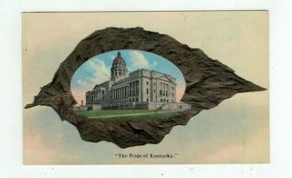 Ky Kentucky Antique Post Card " Pride Of Kentucky " Capitol In Tobacco Leaf Frame
