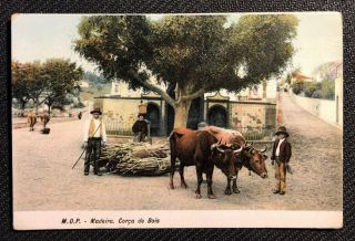 Early Divided Back Madeira (portugal) Corca De Bois Unposted Postcard Pc