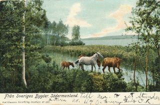 Sodermanland – Fran Sveriges Bygder – Sormland – Sweden – Udb – 1906