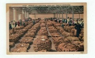 Antique Linen Post Card Interior Of A Southern Loose - Leaf Tobacco Warehouse