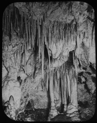 Antique Magic Lantern Slide Jenolan Caves The Carrots C1890 Photo Australia
