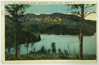 Postcard Bald Mountain Nc Above Lake Lure Bird 
