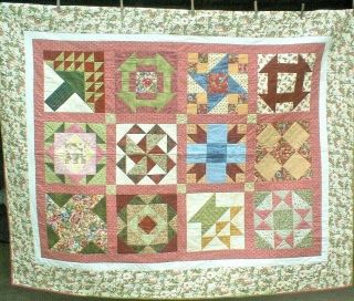 Fabulous Custom Quilted Sampler Pattern Blocks Quilt Wowww Cond.