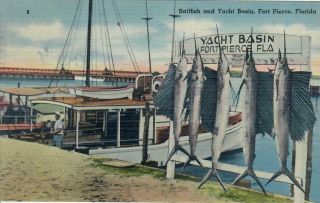 Sailfish Displayed At Yacht Basin Fort Pierce Fl Florida