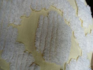 Vintage Pastel Yellow Chenille Bedspread full - size w/ white pom fringe 5