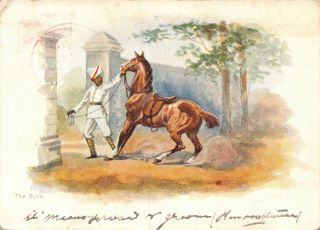 India Ethnic The Syce Leading Horse 1905 Art Drawn Court Size Card