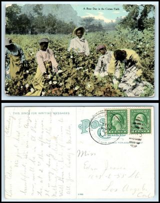 Early Postcard - Black Americana - A Busy Day In The Cotton Field N14