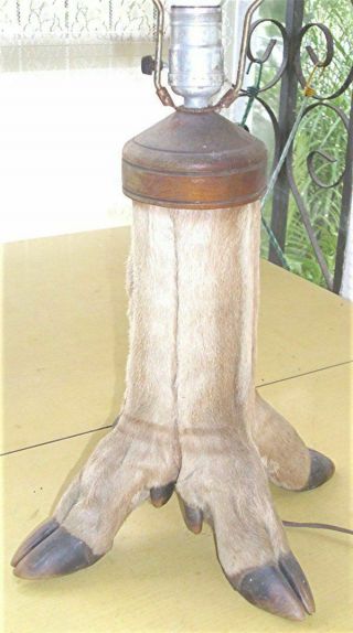 VTG DEER FOOT LEG TABLE LAMP HUNTING CABIN LODGE TAXIDERMY FOLK ART DECOR 2