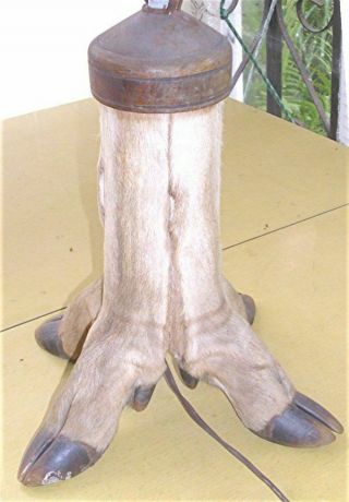 VTG DEER FOOT LEG TABLE LAMP HUNTING CABIN LODGE TAXIDERMY FOLK ART DECOR 3