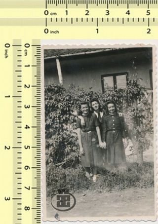 009 Three Women Ladies Females Vintage Old Photo Snapshot