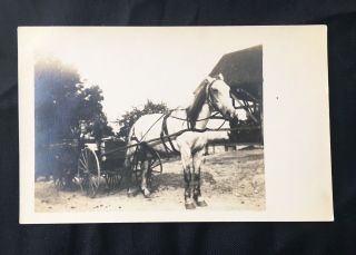 TWO ANTIQUE REAL PHOTO POSTCARDS c1910 PASSENGERS IN HORSE DRAWN BUGGY CARRIAGE 3
