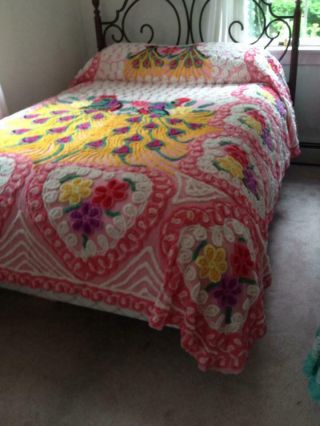 Chenille Bedspread Double Peacock Plush Pink/Multi Colors 2