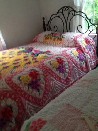 Chenille Bedspread Double Peacock Plush Pink/Multi Colors 3