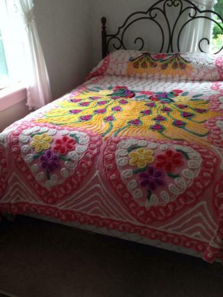 Chenille Bedspread Double Peacock Plush Pink/Multi Colors 4