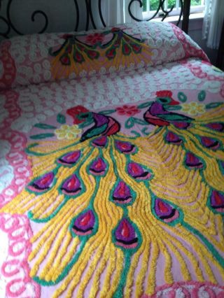 Chenille Bedspread Double Peacock Plush Pink/Multi Colors 7
