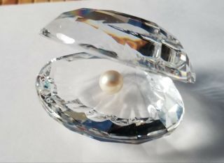 Swarovski Crystal Clam Oyster Shell With Pearl Figurine