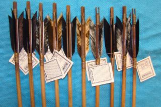 Tewlve Handmade Navajo Arrows Stone Chipped Arrowheads Great Arrow Of Light Item