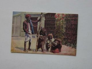 Raphael Tuck Postcard Pc Series 7408 Wide Wide World Native Life India