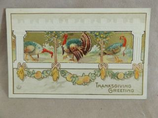 Vintage Thanksgiving Greetings Post Card With Turkeys