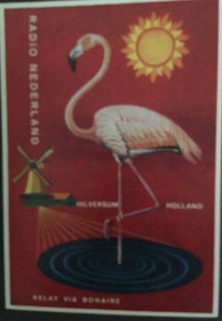 Vintage Postcard Bonaire Radio Nederland - Flamingo And Windmill