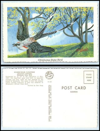 Oklahoma Postcard - State Bird - Scissor Tailed Flycatcher O15