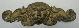 Thin Vintage Brass Lion Head Decoration Victorian 6.  75 " Long