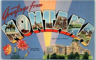 Montana Large Letter Postcard Colorful Tichnor Linen C1940s