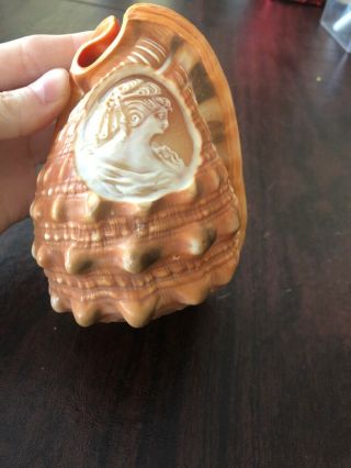 Carved Cameo Conch Shell