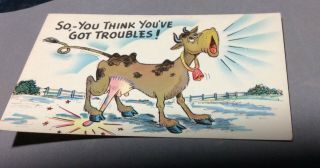 Vintage Comic Postcard,  " So You Think You Got Troubles ",  Cow Stepping On Udders
