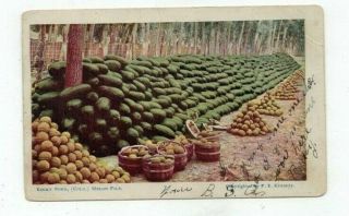 Co Rocky Ford Colorado Antique 1907 Post Card Pile Of Melons