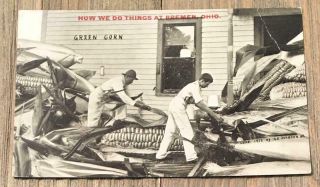 Vintage Green Corn How We Do Things At Bremen Ohio Postcard