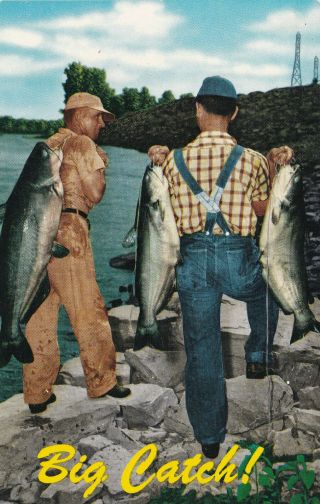Catfish Fishing Postcard 1960 