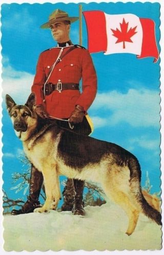 Canada Postcard Rcmp Royal Canadian Mounted Policeman & Dog