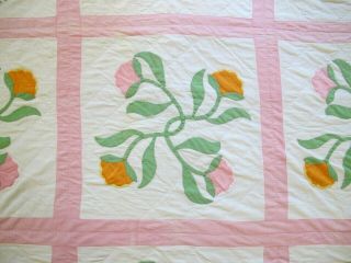 Vintage Hand Sewn All Cotton Heavy APPLIQUE Quilt,  FLOWER BUDS Pattern 6