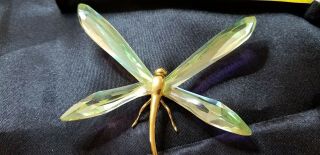 Swarovski Crystal Paradise Figurine Large Dragonfly W/box