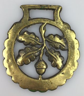 Vtg Horse Bridle Charm Medallion Solid Brass Decoration Saddle Oak Leaf Acorn