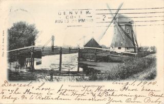Wormerveer Watermolen Zaandijkerwegje Netherlands - N J Boon Photo Postcard 1900