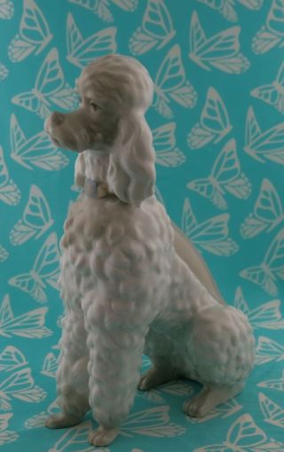 Lladro 0325 or 325.  13 POODLE 7