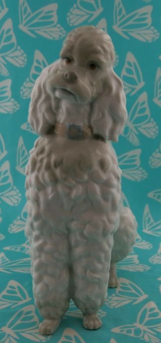 Lladro 0325 or 325.  13 POODLE 8