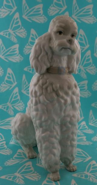 Lladro 0325 or 325.  13 POODLE 9