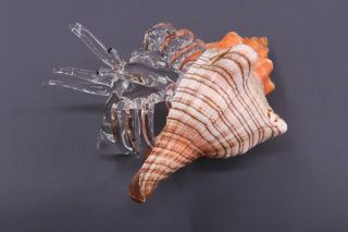 Hermit Crab & Trapezium Shell 10/13 Cm - Handmade Crystal Glass Animal Figurine