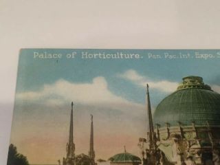 RPPC Horticulture Panama Pacific Exposition San Francisco 1915 PPIE Postcard 5