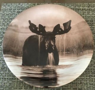Yellowstone Park Moose Dinner Plate 10 1/2” Park Foundation Collectible Art Ware