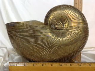 Large Brass Nautilus Shell Decorative Object Or Utensil Holder 10 " X 7.  5 " X 5.  5 "