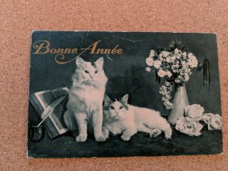 Vintage Cat Postcard.  Two Cats.  Flowers.  Book.  Bonne Annee.