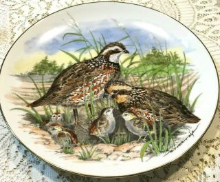 Southern Living Gallery " Bobwhite Quail " Collector Plate - Game Birds Of South