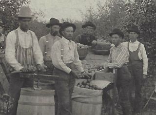Apple Picking Speece & Aaron SPRINGDALE Arkansas 1910 REAL PHOTO POSTCARD RPPC 3