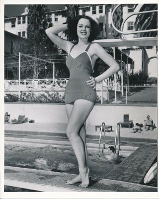 1940s 8 X 10 Leggy Hollywood Star Cheesecake Photo Bob Beerman Janzten Swimsuit